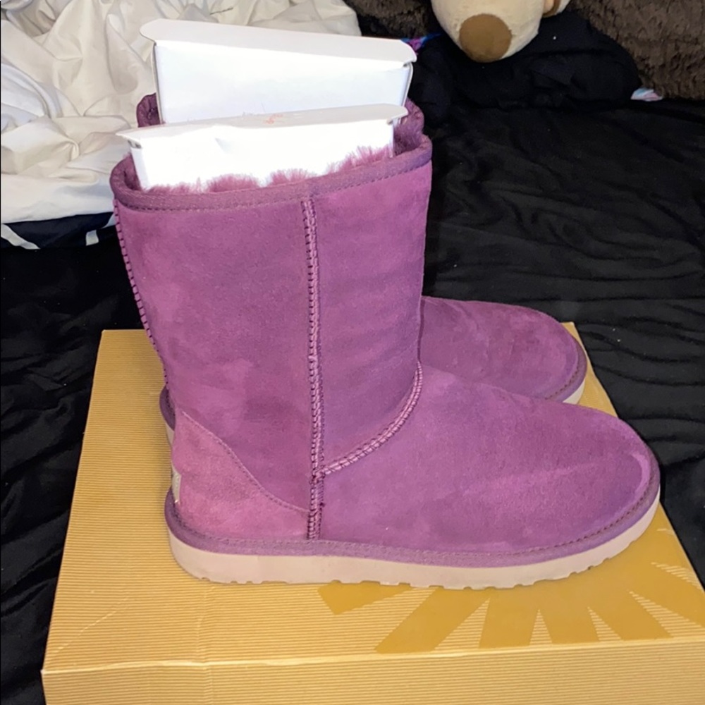 Classic Purple Uggs